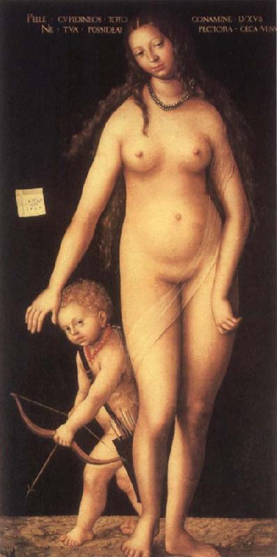 Lucas Cranach the Elder Venus and Cupid Germany oil painting art